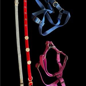 Colorful Pet Harness and Collar Set